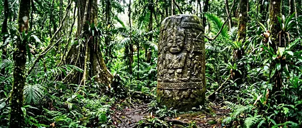 1.5-Million-Year-Old Stone Tools Found in Indonesia