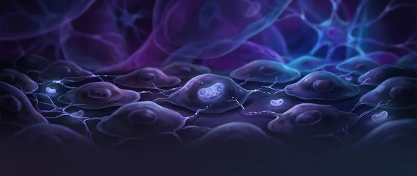 Depression Starts in Your Cells: 2026 Mitochondrial Study