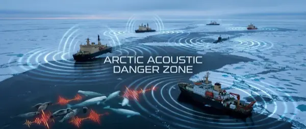 Αρκτικός Ωκεανός: Πώς ο Ανθρώπινος Θόρυβος Αυξήθηκε 300%