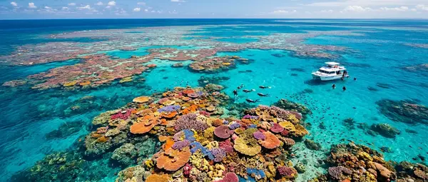 Ο Μεγαλύτερος Κοραλλιογενής Ύφαλος Ανακαλύφθηκε