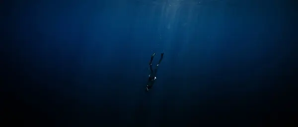 332m Dive Without Breathing: How Does the Body Survive?