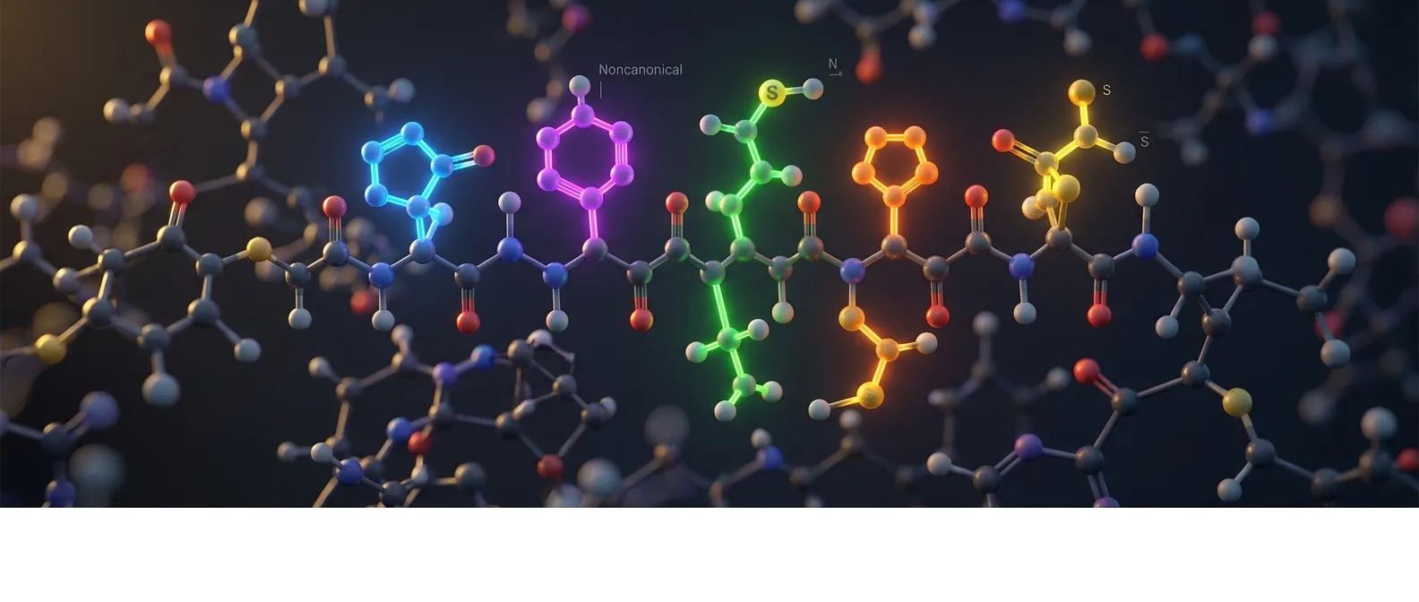 Diagram showing 5 noncanonical amino acids integrated into a single protein structure using rare codon technology
